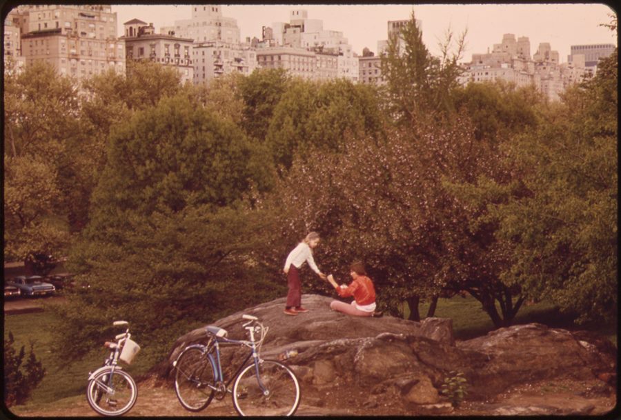 Cyclists riding through Central Park on a car-free Sunday